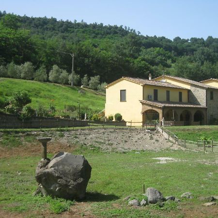 Alloggio Turistico Mooneyes Castiglione In Teverina Exterior foto