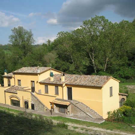 Alloggio Turistico Mooneyes Castiglione In Teverina Exterior foto