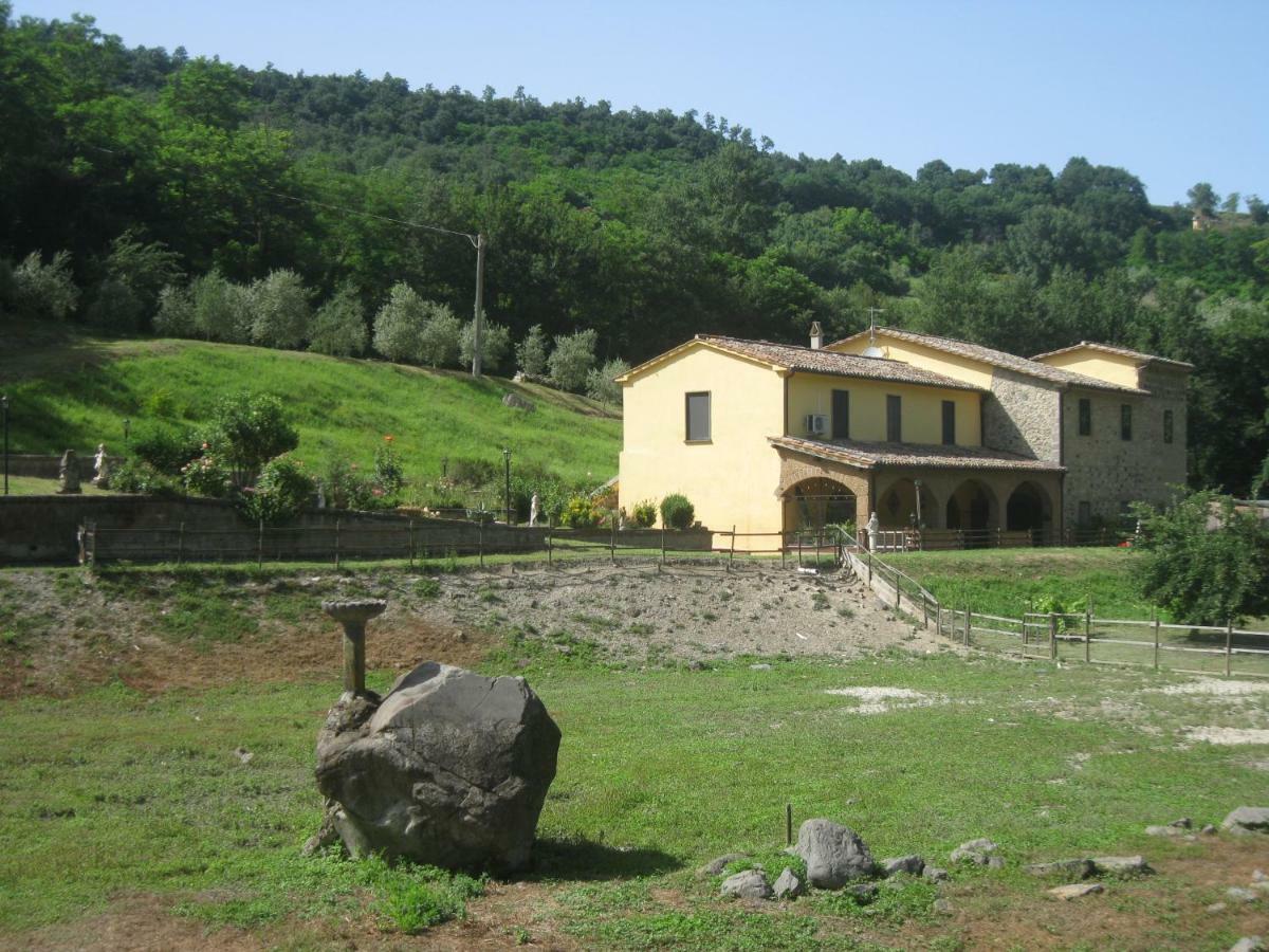 Alloggio Turistico Mooneyes Castiglione In Teverina Exterior foto